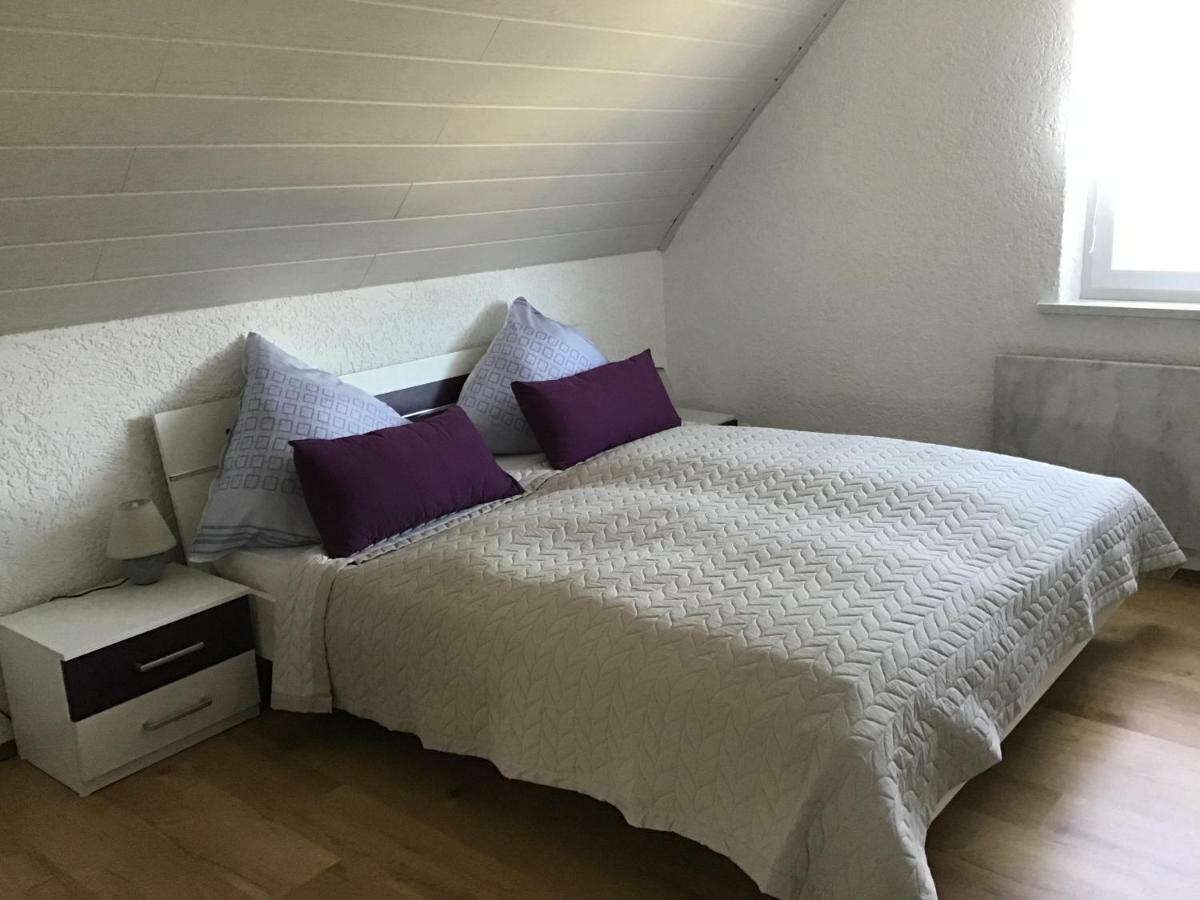 Ferienwohnung Elina Maxhutte-Haidhof Dış mekan fotoğraf