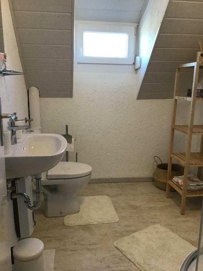 Ferienwohnung Elina Maxhutte-Haidhof Dış mekan fotoğraf